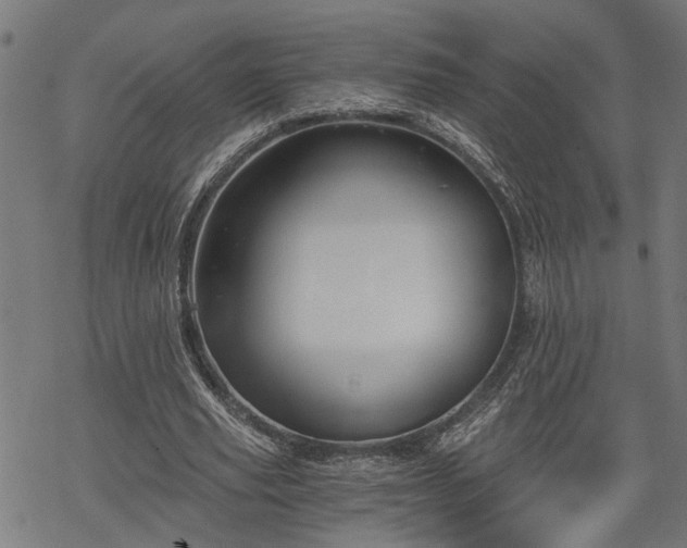 X0000068850629200605081215