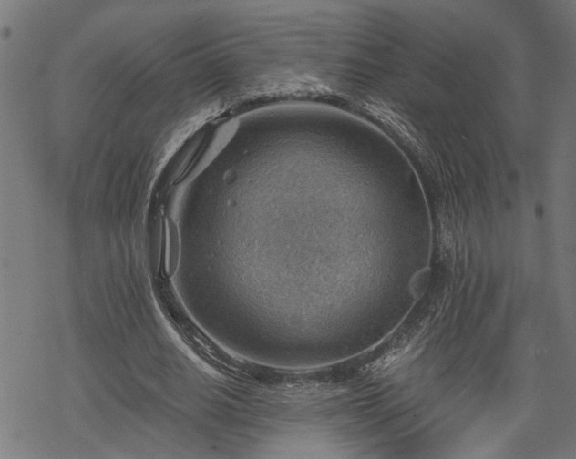 X0000068850630200605081215