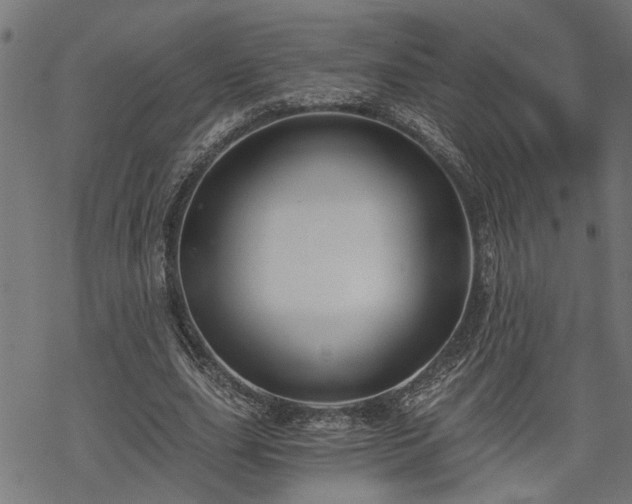 X0000068850631200605081216