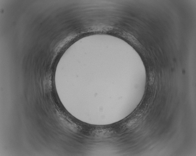 X0000068850632200605081216