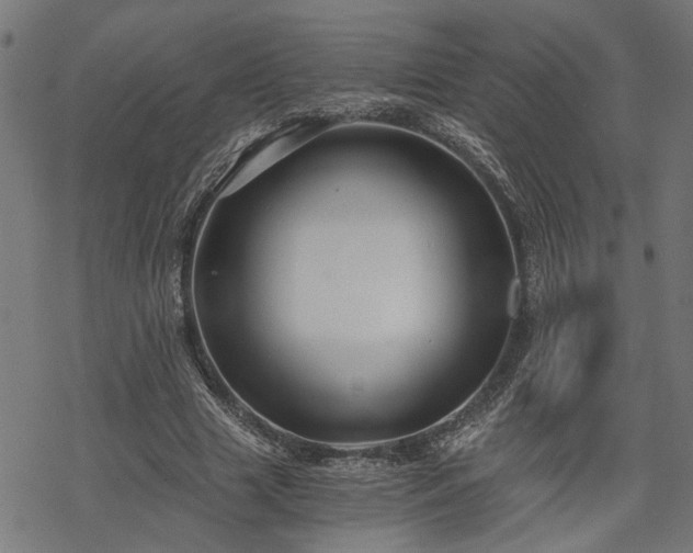 X0000068850633200605081216