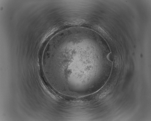 X0000068850634200605081216