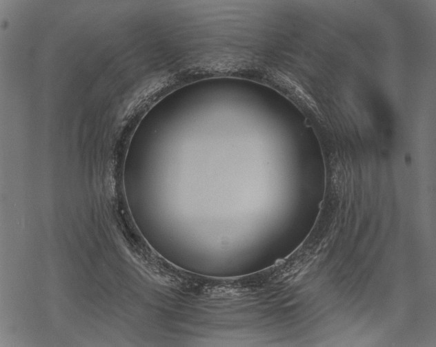 X0000068850635200605081216