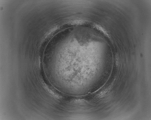 X0000068850637200605081216