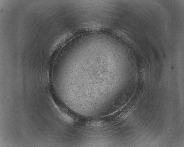 X0000068850638200605081216