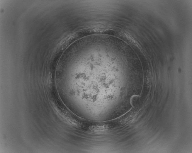 X0000068850639200605081216