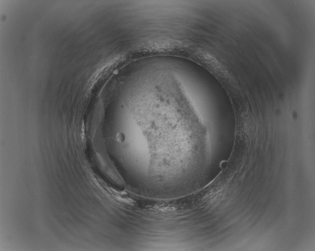 X0000068850640200605081216