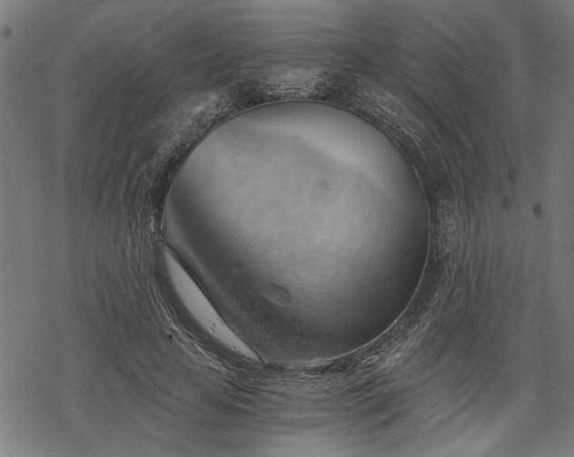 X0000068850641200605081216