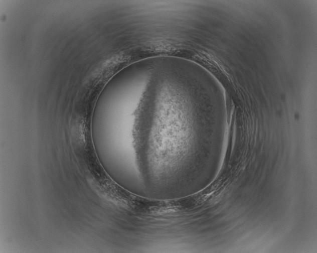 X0000068850643200605081216