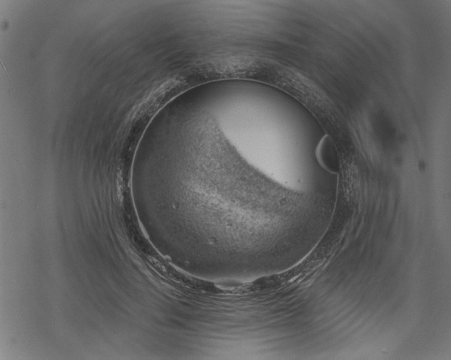 X0000068850644200605081216