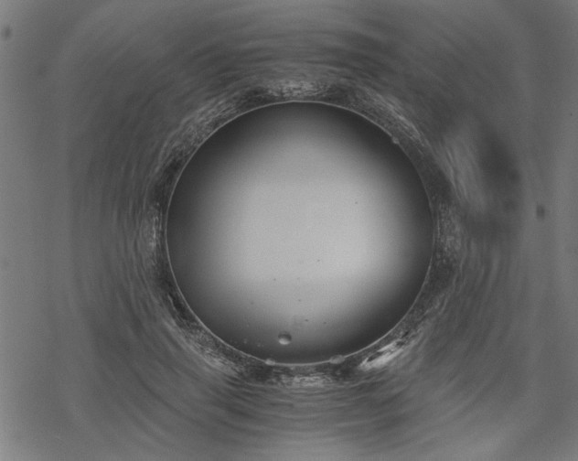 X0000068850645200605081216