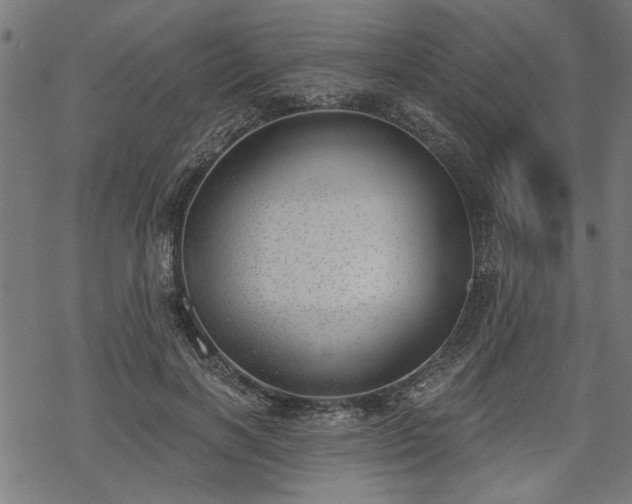 X0000068850646200605081216