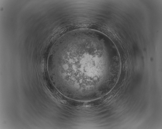 X0000068850647200605081216