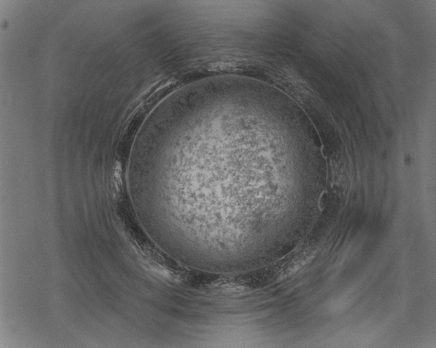 X0000068850648200605081216