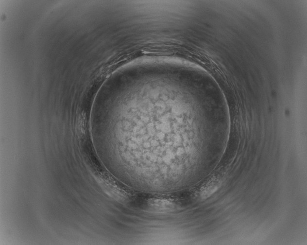 X0000068850649200605081216