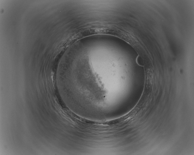 X0000068850650200605081216