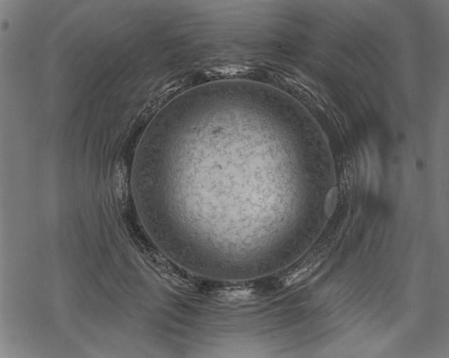 X0000068850651200605081216