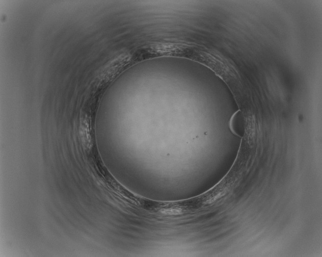 X0000068850653200605081216