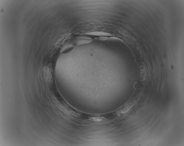 X0000068850654200605081216