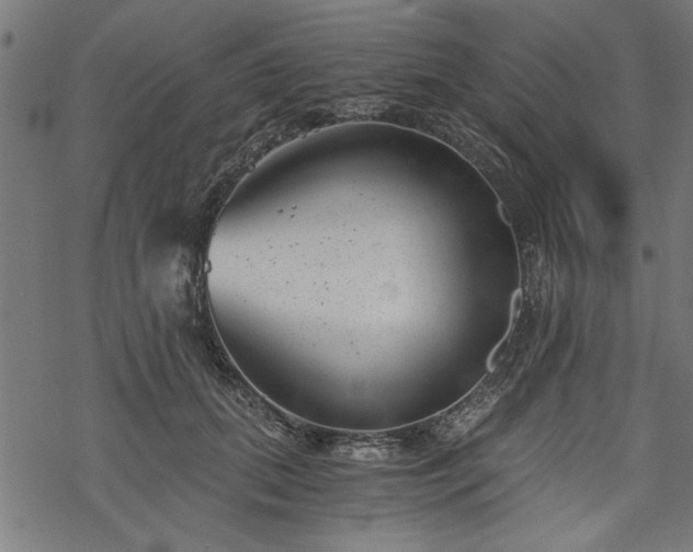 X0000068850655200605081216