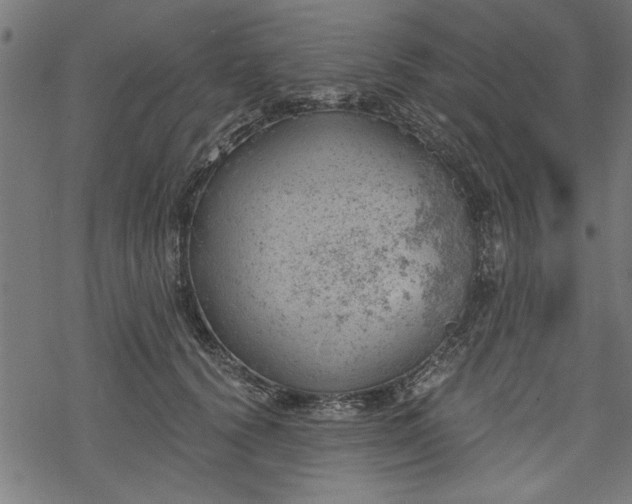 X0000068850656200605081216