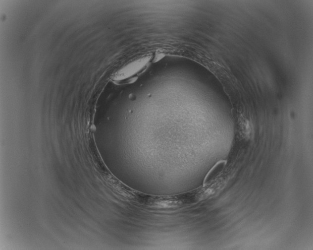 X0000068850657200605081216