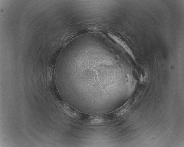 X0000068850658200605081216