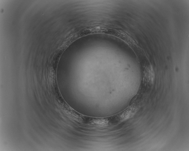 X0000068850659200605081216