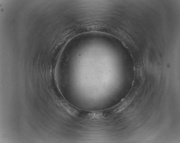 X0000068850660200605081216