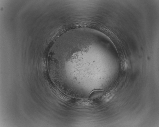 X0000068850661200605081216