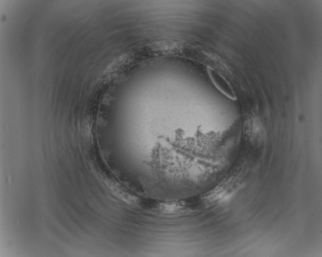 X0000068850662200605081216