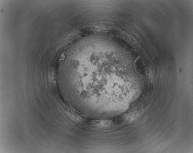 X0000068850663200605081216