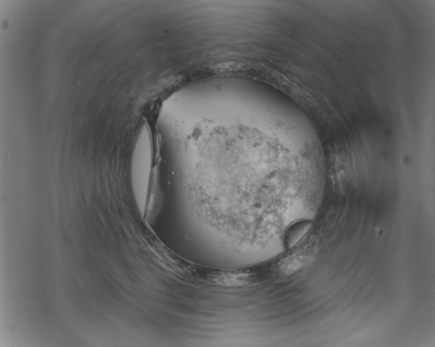 X0000068850664200605081216