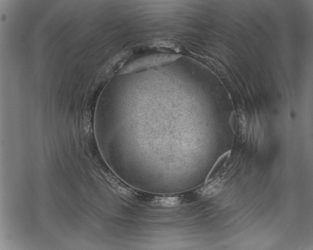 X0000068850665200605081216