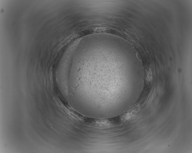 X0000068850666200605081216