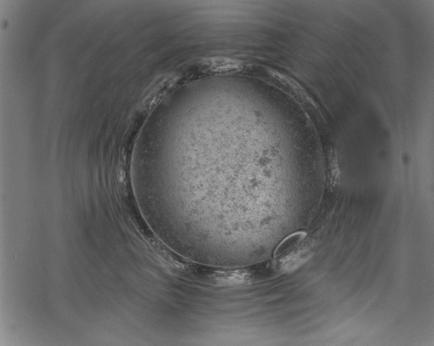 X0000068850667200605081216