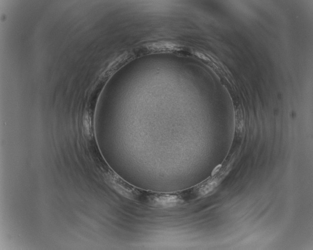 X0000068850669200605081216