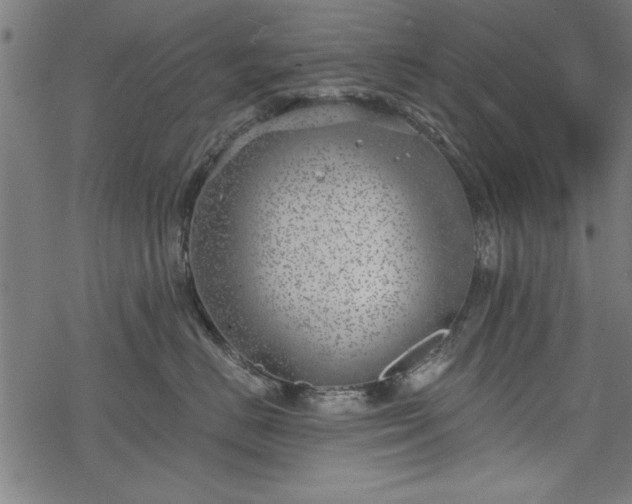 X0000068850670200605081216