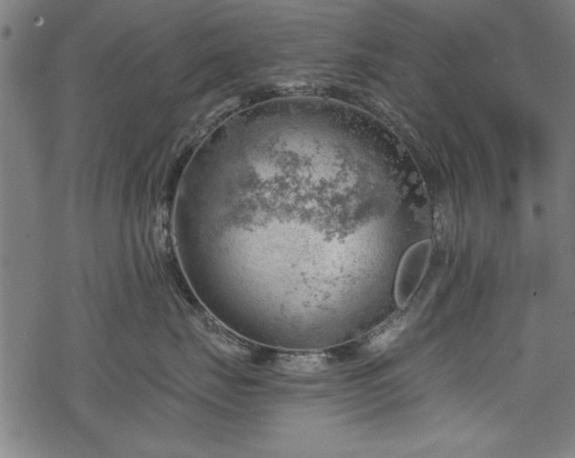 X0000068850671200605081216