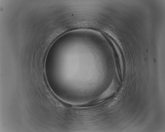 X0000068850673200605081215