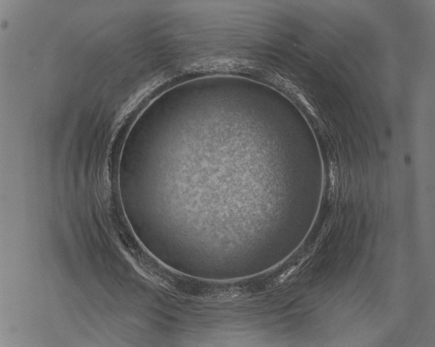 X0000068850674200605081215