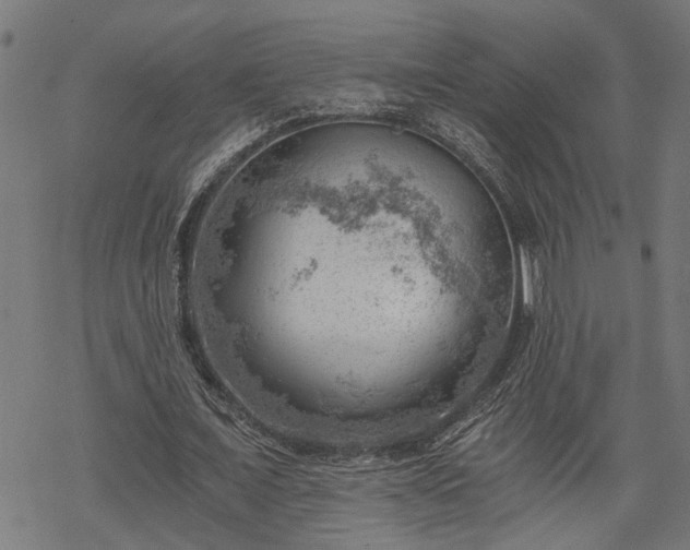 X0000068850675200605081215