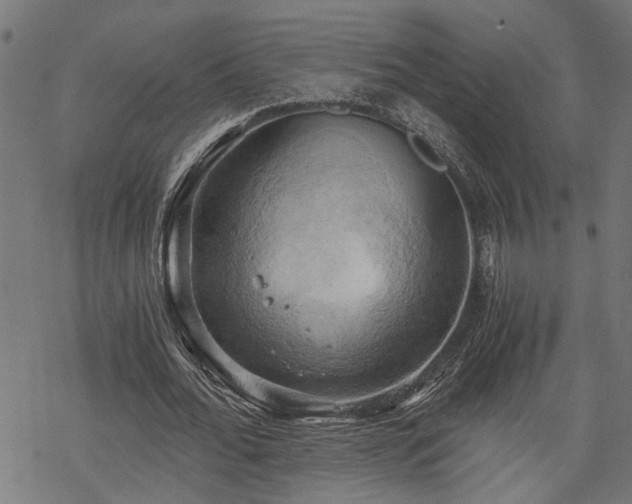 X0000068850676200605081215