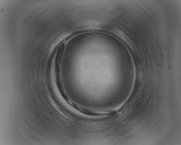 X0000068850677200605081215