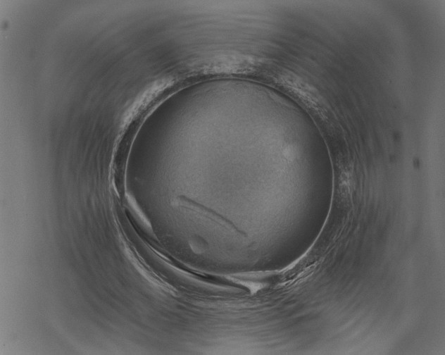 X0000068850678200605081215