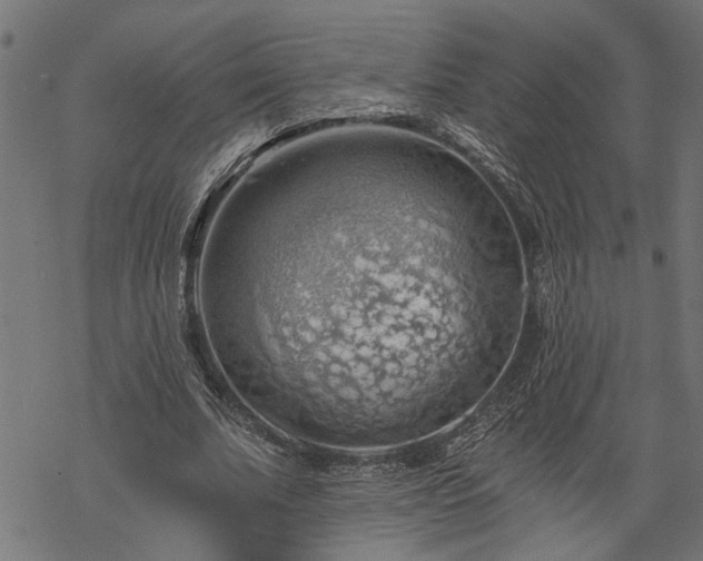 X0000068850679200605081215