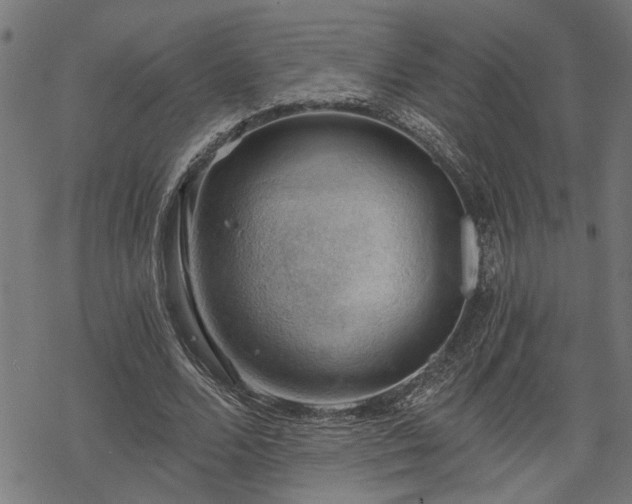 X0000068850680200605081215