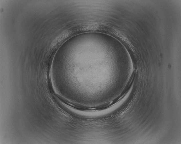 X0000068850681200605081215