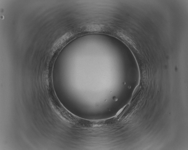 X0000068850682200605081215