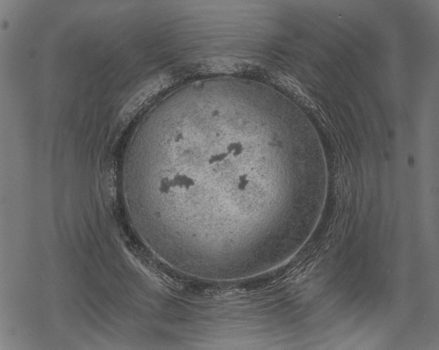 X0000068850683200605081215